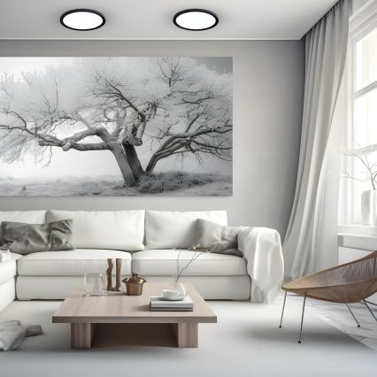 LED Deckenleuchte MAQ LED/24W/230V 3000/4000/6500K IP40 schwarz