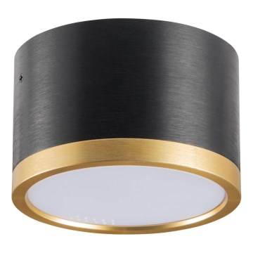 LED-Deckenleuchte MIRELLA 1xGX53/6W/230V schwarz/golden