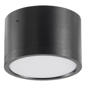 LED-Deckenleuchte MIRELLA 1xGX53/6W/230V schwarz