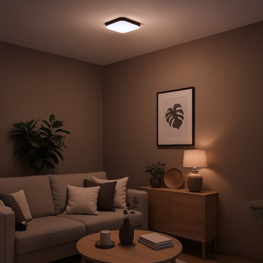 LED-Deckenleuchte NEMO LED/11W/230V 26x26 cm schwarz