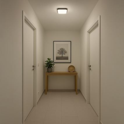 LED-Deckenleuchte NEMO LED/11W/230V 26x26 cm schwarz