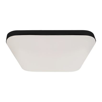 LED Deckenleuchte NEMO LED/36W/230V 50x50 cm schwarz