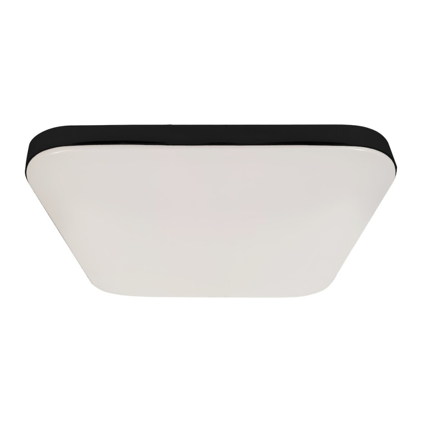 LED Deckenleuchte NEMO LED/36W/230V 50x50 cm schwarz