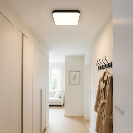 LED Deckenleuchte NEMO LED/36W/230V 50x50 cm schwarz
