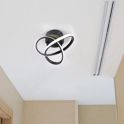 LED-Deckenleuchte OSKAR LED/15W/230V Ø 25 cm schwarz
