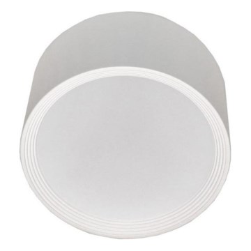 LED-Deckenleuchte PERCI LED/30W/230V IP40 4000K weiß