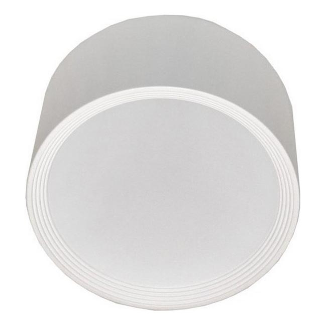 LED-Deckenleuchte PERCI LED/30W/230V IP40 4000K weiß