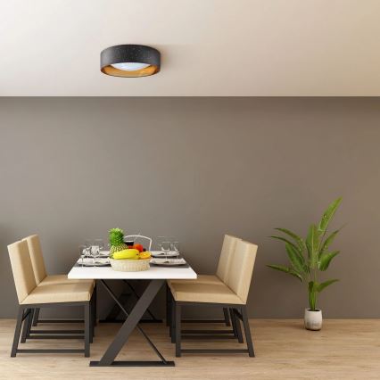 LED-Deckenleuchte TULUZA LED/18W/230V d 32 cm schwarz