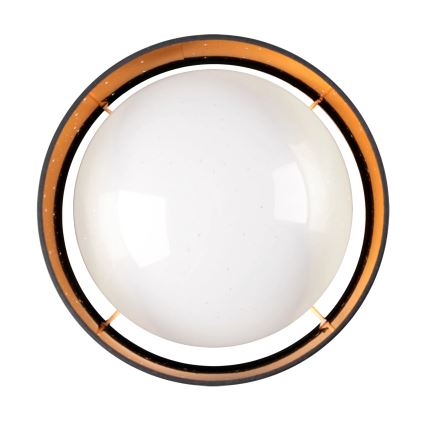 LED-Deckenleuchte TULUZA LED/18W/230V d 32 cm schwarz
