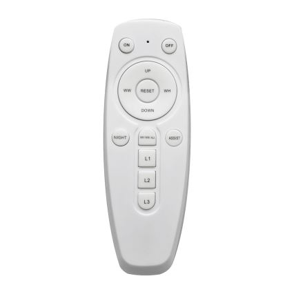 LED Dimmbare Deckenleuchte FLORANCE 2xLED/30W/230V
