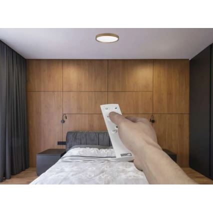 ILVI dimmbare LED-Deckenleuchte, 30 W, 230 V, 2700–6500 K, Ø 40 cm, Holzdekor, inkl. Fernbedienung