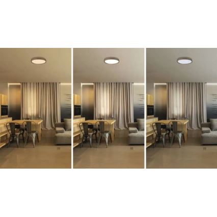 ILVI dimmbare LED-Deckenleuchte, 30 W, 230 V, 2700–6500 K, Ø 40 cm, Holzdekor, inkl. Fernbedienung