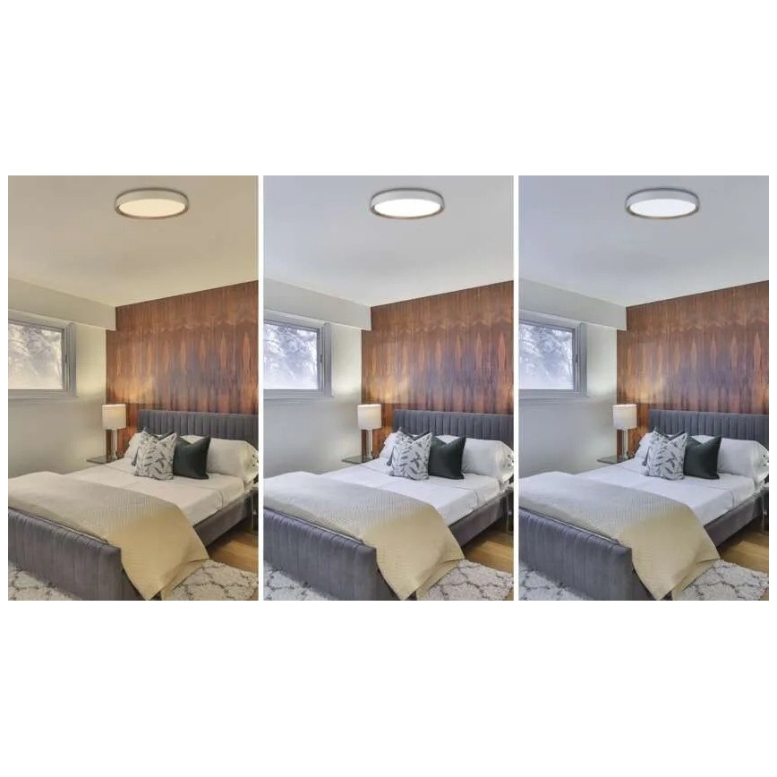 LED-dimmbare Deckenleuchte ILVI LED/45W/230V 2700-6500K Ø 50 cm weiß/beige + Fernbedienung