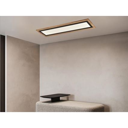 LED dimmbare Deckenleuchte LED/55W/230V 3000-6500K + Fernbedienung