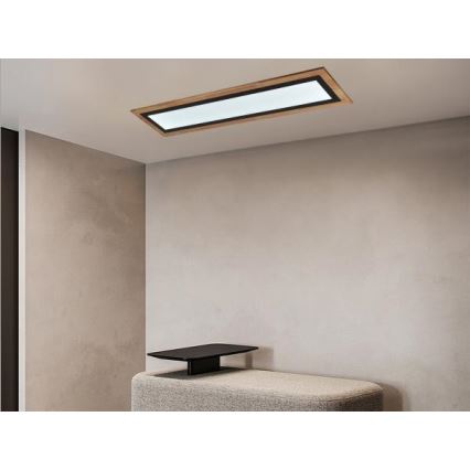 LED dimmbare Deckenleuchte LED/55W/230V 3000-6500K + Fernbedienung