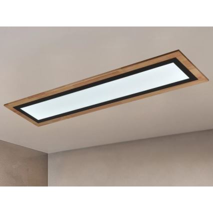 LED dimmbare Deckenleuchte LED/55W/230V 3000-6500K + Fernbedienung