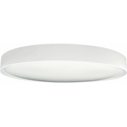 LED Dimmbares Deckenleuchte SAMER LED/40W/230V 2900-6000K + Fernbedienung