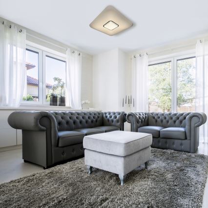 LED Dimmbares Deckenleuchte YAX LED/24W/230V + Fernbedienung