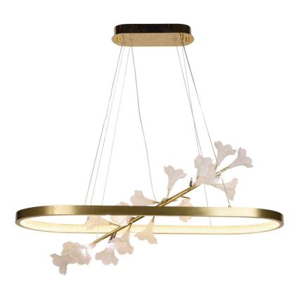 LED dimmbare Hängeleuchte an Kabel LED/65W/230V 3000-6500K + Fernbedienung