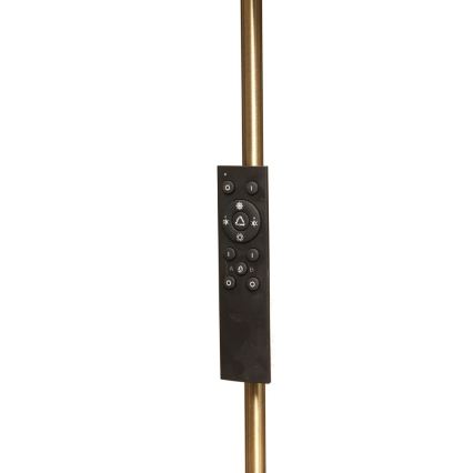 LED-dimmbare Stehleuchte NORA LED/25W/230V 2200/3000/4000K + LED/5W 3000K goldfarben + mit Fernbedienung