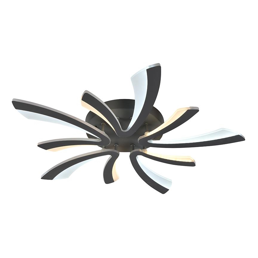 LED Dimmbarer Deckenleuchter LED/55W/230V 3000-6500K + Fernbedienung