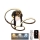 LED Dimmbarer Deckenleuchter LED/70W/230V 3000-6500K + Fernbedienung