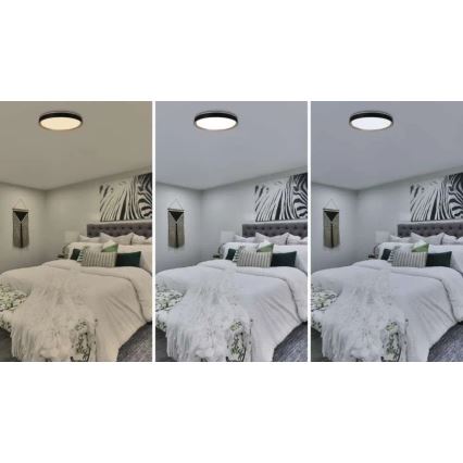 Plafoniera dimmerabile LED ILVI LED/45W/230V 2700-6500K Ø 50 cm nero/beige + telecomando