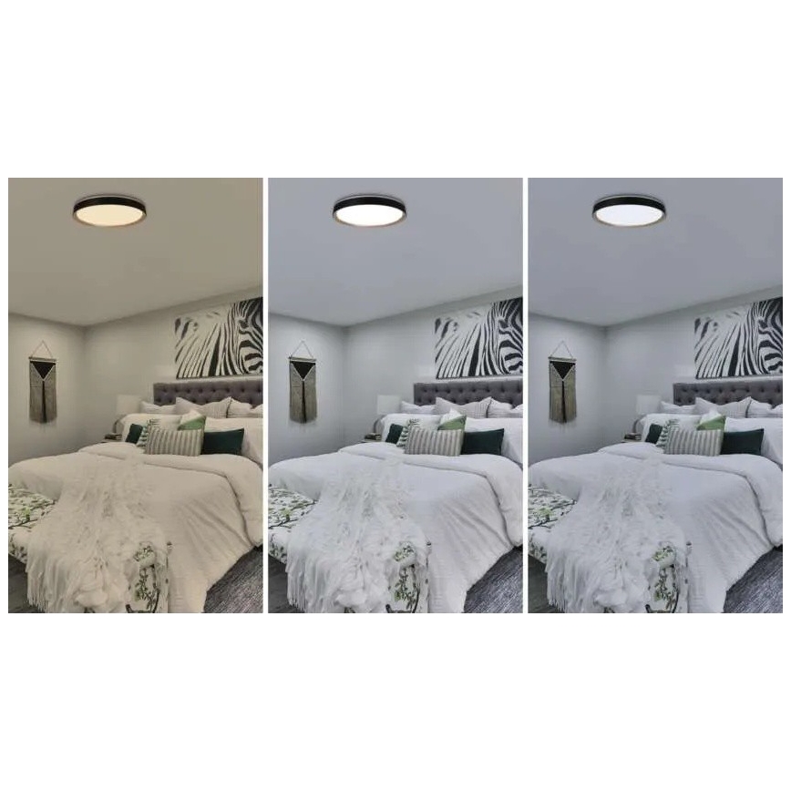 Plafoniera dimmerabile LED ILVI LED/45W/230V 2700-6500K Ø 50 cm nero/beige + telecomando