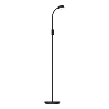 LED Dimmerabile touch lampada con piedistallo BRUNO LED/3W/230V 3000/4000/6500K nero