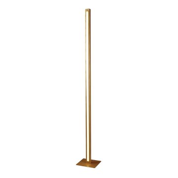 LED Dimmerabile touch lampada con piedistallo RODNEY LED/35W/230V legno