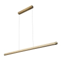 LED-Hängeleuchte an Schnur LED/22W/230V 4000K 120 cm Esche/Massivholz