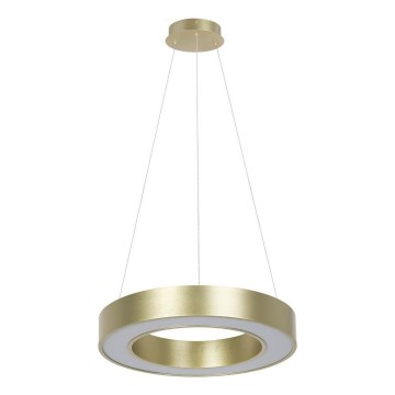 LED-Hängeleuchte an Stahlseil UNION LED/40W/230V 3000/4000/6500K Ø 40 cm goldfarben