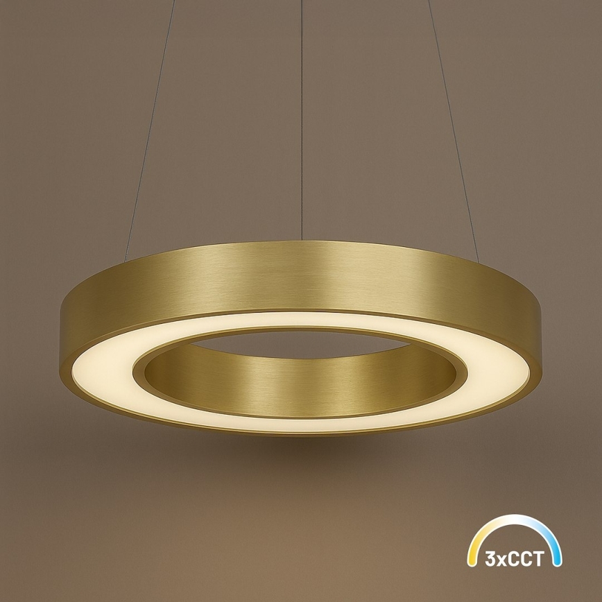 LED-Hängeleuchte an Stahlseil UNION LED/40W/230V 3000/4000/6500K Ø 40 cm goldfarben