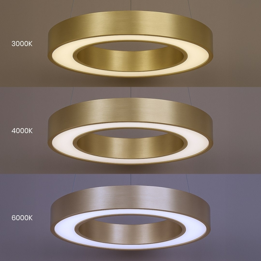 LED-Hängeleuchte an Stahlseil UNION LED/40W/230V 3000/4000/6500K Ø 40 cm goldfarben