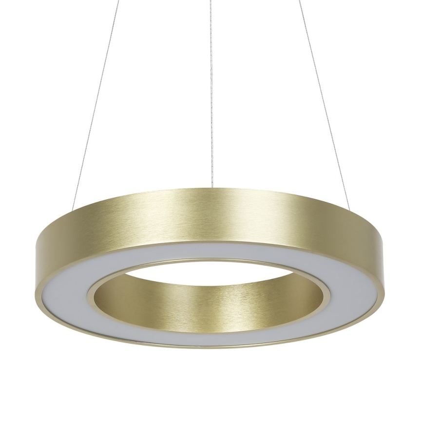 LED-Hängeleuchte an Stahlseil UNION LED/40W/230V 3000/4000/6500K Ø 40 cm goldfarben