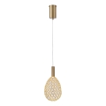 LED-Hängeleuchte LED/6,3W/230V 3000K golden d 14 cm