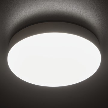 LED-Hochleistungs-Deckenleuchte mit Bewegungssensor IPER LED/19W/230V IK10 IP65 rund weiß