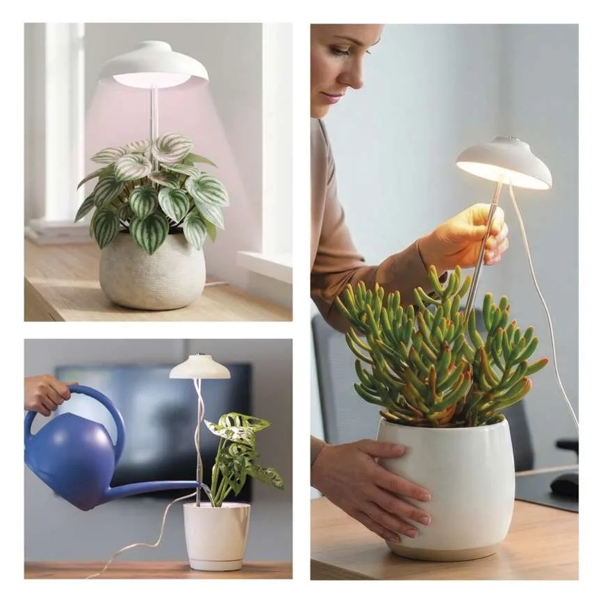 LED-Innenlampe zur Pflanzenzucht GROW LED/5W/5V