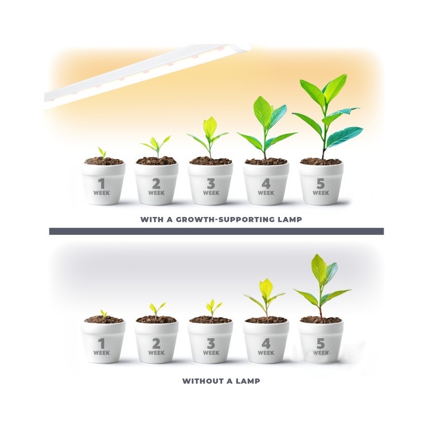 LED-Küchenunterbauleuchte für die Pflanzenzucht GROWLY LED/9W/230V weiß