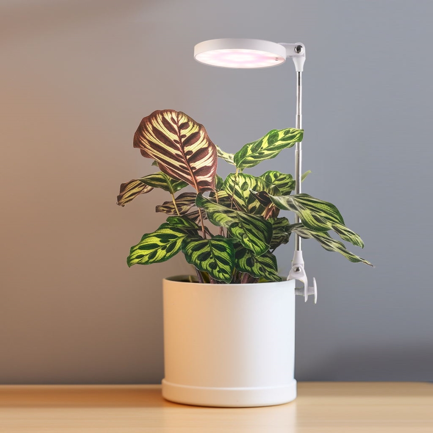 LED Lampada da interni per la coltivazione di piante LED/10W/5V 3200K
