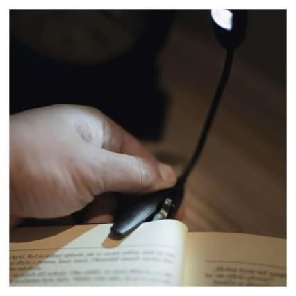 LED Lampada da lettura LED/1xAAA