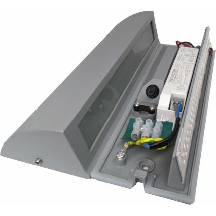 LED Lampada da parete LED/10W/230V IP54