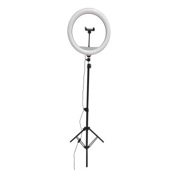 LED Lampada dimmerabile con treppiede e supporto per vlogging LED/15W/5V 2700-6500K