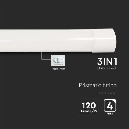 LED Lampada fluorescente LED/40W/230V 3000/4000/6500K 116 cm