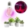 LED Lampadina per la crescita delle piante PLANTY E27/8W/230V 1200K