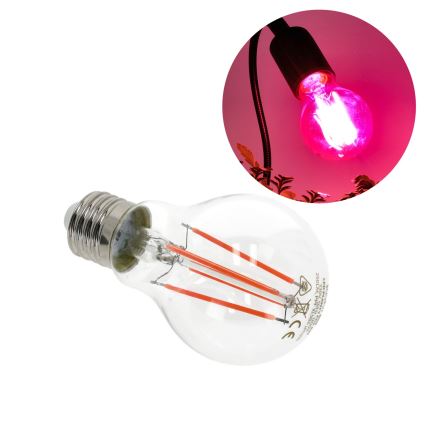 LED Lampadina per la crescita delle piante PLANTY E27/8W/230V 1200K