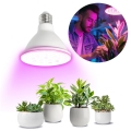 LED Lampadina per la crescita delle piante PLANTY E27/9W/230V 1200K bianco