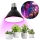 LED Lampadina per la crescita delle piante PLANTY E27/9W/230V 1200K nero