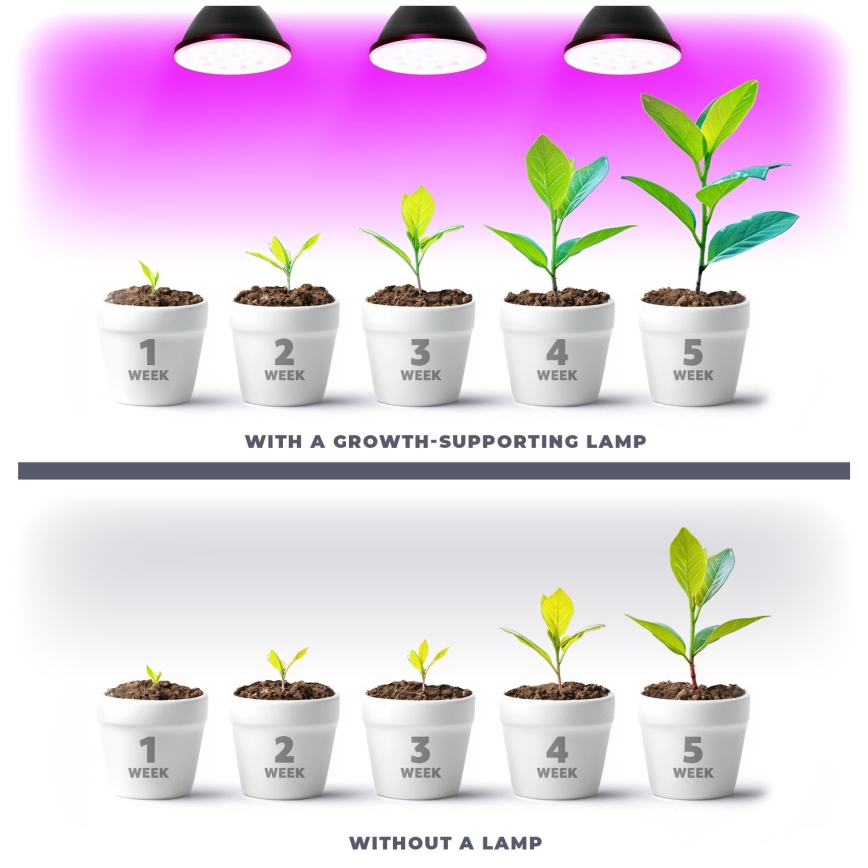 LED Lampadina per la crescita delle piante PLANTY E27/9W/230V 1200K nero