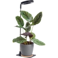LED Lampe de table dimmable pour culture de plantes VERDI LED/5W/5V 1300K IRC 95 noire